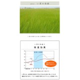 【北海道・沖縄・離島配送不可】【代引不可】置き畳 国産 日本製 い草 3層 約70×70×1.5cm 単品 1枚 ユニット畳 マット ヘリ無し 軽量 防炎 吸湿 空気浄化 消臭 滑り止め 模様替え イメージチェンジ 置くだけ 簡単設置 IKEHIKO 8340009