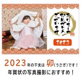 【即納】もこもこうさちゃんケープ ベビー うさぎ 兎 干支 キャラクター コスプレ パーティーグッズ 年賀状 おすすめ クリアストーン 4560320901099