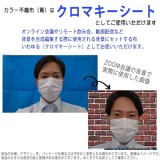 不織布 カラー不織布 ロール 3m 切売 布 カラー布 青 ブルー 1mｘ3m 大きい クロマキーシート 背景 オンライン会議 合成背景 背景布  アーテック 14161