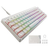 【即納】【代引不可】ゲーミングキーボード 有線 着脱式ケーブル RGB メカニカル ( 銀軸 / スピードリニア ) 日本語配列 テンキーレス USB A ポート×1 コンパクト V custom ホワイト エレコム TK-VK300SWH