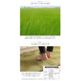 【北海道・沖縄・離島配送不可】【代引不可】キッチンマット 台所マット 約60×120cm い草 畳 自然素材 抗菌防臭 汚れにくい シミになりにくい 裏面ウレタン貼り 洗濯不要 お手入れ簡単 国産 純国産 日本製 フルーツ柄 IKEHIKO DST60120