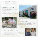 【北海道・沖縄・離島配送不可】【代引不可】ソファカバー ゴムバンド付き 1人掛け アームなし 肘掛けなし かけるだけ イタリア製 洗濯機で洗える 花柄 大花柄 アネモネ レトロ 汚れ防止 模様替え フィオーレ ナカムラ 61000891