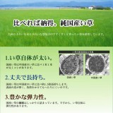 【北海道・沖縄・離島配送不可】【代引不可】置き畳 ユニット畳 ふっくらユニット畳 フレア ナチュラル2枚 ブラック2枚 4枚セット 82ｘ82cm 軽量タイプ イ草 い草 正方形 置くだけ 置きたたみ たたみ 敷 インテリア 模様替え IKEHIKO 8608360