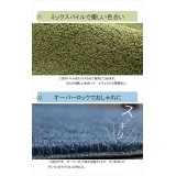 【北海道・沖縄・離島配送不可】【代引不可】ラグ 長方形 ミックスパイル 約1畳 約90×185cm オーバーロック オールシーズン ホットカーペット対応 ナチュラル 洗える 滑りにくい加工  IKEHIKO PRM90185