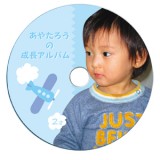 【代引不可】サンワサプライ インクジェットフォト光沢DVD/CDラベル(内径17mm) LB-CDR013N-50