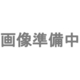 HOゲージ 国鉄ワキ8000 塗装済み 番号無し 2両組キット 鉄道模型 貨車 貨物車 モデルアイコン 730W3