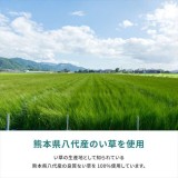 【北海道・沖縄・離島配送不可】【代引不可】い草カーペット 天草 87x174cm 江戸間1畳 い草ラグ イ草カーペット 上敷き 敷き詰めタイプ 和 ござ HAGIHARA 159058600