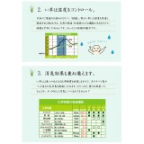 【北海道・沖縄・離島配送不可】【代引不可】い草 花ござ ござ ラグ カーペット マット 純国産 長方形 約174×261cm 江戸間3畳 西条 市松柄 市松模様 夏用 春夏用 日本製 ベージュ IKEHIKO 4100153