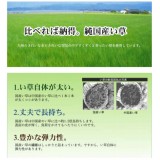 【北海道・沖縄・離島配送不可】【代引不可】い草カーペット ラグ マット 純国産 正方形 約174×174cm 江戸間2畳 掛川織 松川 青森ヒバ加工 モダン 夏用 春夏用  日本製 ベージュ IKEHIKO 4407102