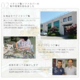 【北海道・沖縄・離島配送不可】【代引不可】ソファカバー ゴムバンド付き 3人掛け アームなし 肘掛けなし かけるだけ イタリア製 洗濯機で洗える 花柄 大花柄 マーガレット レトロ 汚れ防止 模様替え マルゲリータ ナカムラ 61000922