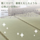 【北海道・沖縄・離島配送不可】【代引不可】国産い草カーペット 琥珀 こはく  352ｘ352cm 江戸間8畳 純国産 上敷き 引目織 い草ラグ イ草カーペット  HAGIHARA 158002780