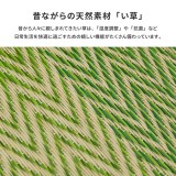 【北海道・沖縄・離島配送不可】【代引不可】掘りごたつ対応のい草ラグ マット カーペット 敷物 約240×240cm HAGIHARA 81909003x