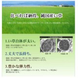 【北海道・沖縄・離島配送不可】【代引不可】い草 花ござ ござ ラグ カーペット マット 純国産 正方形 約261×261cm 江戸間4.5畳 五風 和風 和柄 和風モダン 夏用 春夏用 日本製 ブラウン IKEHIKO 4110904