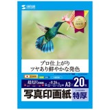 【代引不可】インクジェット写真印画紙 特厚タイプ A3サイズ 20枚入 超光沢 インクジェットプリンター 写真用紙 プロ並みの仕上り 速乾性 保存性 サンワサプライ JP-EP2NA3N