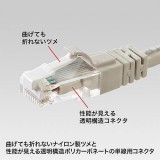 【代引不可】サンワサプライ ツメ折れ防止カテゴリ6 RJ-45コネクタ（100個セット）  ADT-6RJTS-100