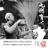 【北海道・沖縄・離島配送不可】【代引不可】い草 上敷き カーペット 江戸間2畳 約174×174cm ござ 純国産 格子柄 モダン  IKEHIKO 4135902