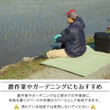 【北海道・沖縄・離島配送不可】【代引不可】ラグ 洗える  江戸間2畳 約174×174cm ポリプロピレン 水洗い可能 日本製 国産 アウトドア レジャー 和室 インテリア シンプル IKEHIKO FAM176176