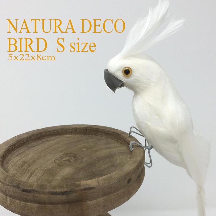 オブジェ 置物 デコバード Natura Deco Bird S 鳥 バード とり トリ 小鳥 インテリア モチーフ 装飾 ディスプレイ