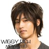 WIGGY RICH メンズ ミディアムウルフ ダークブラウン ウィッグ かつら パーティー イベント コスプレ 仮装 変装 小道具 クリアストーン 4560320880035