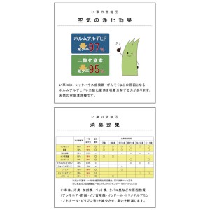 【北海道・沖縄・離島配送不可】【代引不可】置き畳 国産 日本製 い草 3層 約70×70×1.5cm 6P 6枚組 ユニット畳 マット ヘリ無し 軽量 防炎 吸湿 空気浄化 消臭 滑り止め 模様替え イメージチェンジ 置くだけ 簡単設置 IKEHIKO 8340030