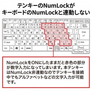 【代引不可】抗菌テンキー USB A接続 テンキー メンブレンスイッチ キーピッチ19mm Windows用 サンワサプライ NT-25UBK