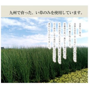 【北海道・沖縄・離島配送不可】【代引不可】玄関マット 室内 約60×90cm い草マット ござ 抗菌防臭 消臭 クッション性 裏面ウレタン貼り 滑りにくい 玄関 入口 エントランス インテリア Fグラデーション 純国産 日本製 IKEHIKO FGD6090