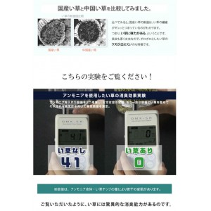 【北海道・沖縄・離島配送不可】【代引不可】玄関マット 室内 約60×90cm い草マット ござ 抗菌防臭 消臭 クッション性 裏面ウレタン貼り 滑りにくい 玄関 入口 エントランス インテリア Fグラデーション 純国産 日本製 IKEHIKO FGD6090