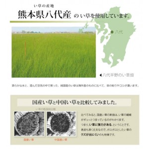 【北海道・沖縄・離島配送不可】【代引不可】い草 上敷きカーペット ござ 本間4.5畳 約286×286cm 熊本県八代産い草使用 畳の日焼けや汚れ防止に 空気浄化 調湿 消臭 抗菌防臭 両面 コンパクト収納 市松織 不知火 純国産 日本製 IKEHIKO 6300184