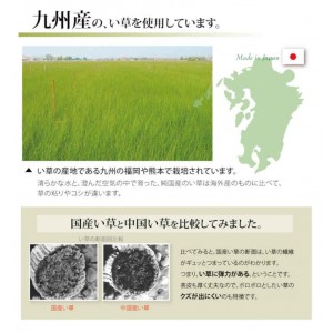 【北海道・沖縄・離島配送不可】【代引不可】い草 上敷きカーペット ござ 約191×191cm 本間2畳 畳の日焼けや汚れ防止に 空気浄化 調湿 消臭 抗菌防臭 両面 コンパクト収納 糸引織 湯沢 純国産 日本製 IKEHIKO 1102782