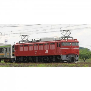 Nゲージ EF81形 JR東日本仕様・双頭形連結器付 鉄道模型 電気機関車 TOMIX TOMYTEC トミーテック 7173