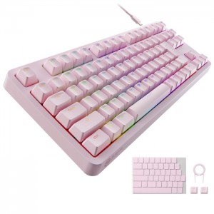 【即納】【代引不可】ゲーミングキーボード 有線 着脱式ケーブル RGB メカニカル ( 銀軸 / スピードリニア ) 日本語配列 テンキーレス ネオクラッチキーキャップ V custom ピンク エレコム TK-VK310SPN