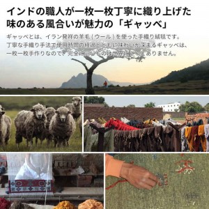 【北海道・沖縄・離島配送不可】【代引不可】ギャッベ チェアパッド 座布団 40×40cm 手織り ニュージーランドウール100% 四隅にフリンジ付き ホットカーペット・床暖房対応 オールシーズン GABBEH HAGIHARA 2700*****