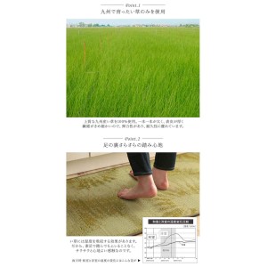 【北海道・沖縄・離島配送不可】【代引不可】キッチンマット 台所マット 約60×180cm い草 畳 自然素材 抗菌防臭 汚れにくい シミになりにくい 裏面ウレタン貼り 洗濯不要 お手入れ簡単 国産 純国産 日本製 フルーツ柄 IKEHIKO DST60180