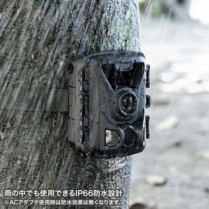 【代引不可】連続録画機能付きトレイルカメラ 赤外線センサー内蔵 電池式 AC電源別売り サンワサプライ CMS-SC07BK