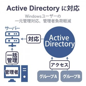 【代引不可】NAS ネットワークHDD Windows Server IoT 2022 for Storage搭載 Atom 2ベイデスクトップ 2TB スタンダード 【 Mac Windoows PC 対応 】 RoHS指令準拠 エレコム NSB-72D02TS22