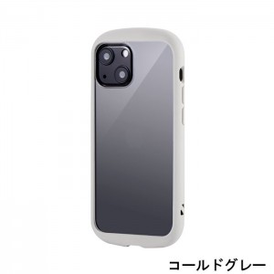 iPhone 13 mini 5.4インチ 2眼モデル 耐衝撃ハイブリッドケース Cleary ハニカム構造 精密設計 ストラップホール搭載 LEPLUS LP-DS21PLC