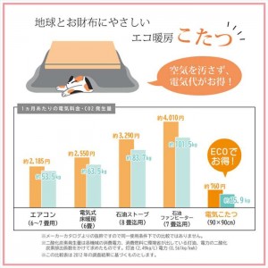 【北海道・沖縄・離島配送不可】【代引不可】こたつ薄掛け布団単品 ベージュ 約205×235cm ハイタイプ 高脚用 モダン おしゃれ IKEHIKO 1181860023830