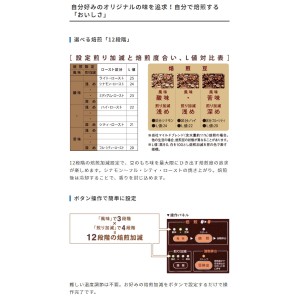 焙煎機 コーヒー豆 カフェプロ101 コーヒーロースター 焙煎 ロースト ダイニチ MR-101