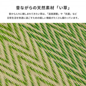 【北海道・沖縄・離島配送不可】【代引不可】掘りごたつ対応のい草ラグ マット カーペット 敷物 約191×191cm  HAGIHARA 81909000x