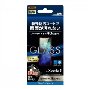 Xperia 5 液晶保護ガラス ガラスフィルム 液晶保護フィルム 0.33mm ブルーライトカット 防埃 超高硬度10H 防汚コート レイアウト RT-XP5F/BSMG