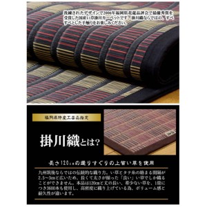 【北海道・沖縄・離島配送不可】【代引不可】い草 花ござ ござ ラグ カーペット マット 江戸間10畳 約435×352cm 九州産い草 調湿 消臭 抗菌防臭 夏用 春夏用 モダン 福岡県品評会最優秀賞 掛川織 鍋島 純国産 日本製 ブラック IKEHIKO 4409209