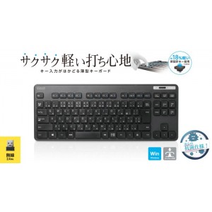 【即納】【代引不可】キーボード コンパクトキーボード 薄型 無線 抗菌仕様 テンキーレス スタンド付 メンブレン方式 ブラック エレコム TK-FDM109TKBK