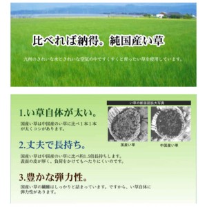 【北海道・沖縄・離島配送不可】【代引不可】い草 花ござ ござ ラグ カーペット マット 純国産 長方形 約261×352cm 江戸間6畳 西条 市松柄 市松模様 夏用 春夏用 日本製 ベージュ IKEHIKO 4100156