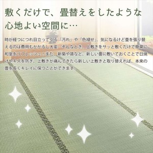 【北海道・沖縄・離島配送不可】【代引不可】い草カーペット 備前 びぜん 174ｘ174cm 江戸間2畳 イ草ラグ 敷き詰めタイプ 上敷き 撥水加工 お手入れ簡単 HAGIHARA 148001220