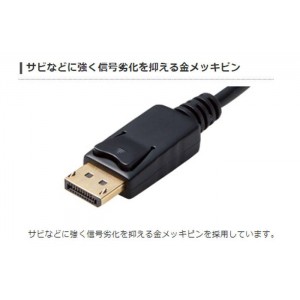 【代引不可】Display Port用 DV I変換ケーブル 1.0m PC 映像 DP TV プロジェクター 出力 エレコム CAC-DPDVI10BK