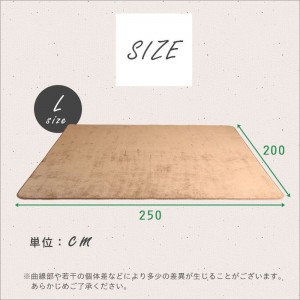 【北海道・沖縄・離島配送不可】【代引不可】ラグマット Lサイズ 200×250cm ラグ マット 高密度フランネルマイクロファイバー 洗える シンプル おしゃれ インテリア ホームテイスト FRG-L