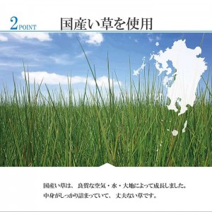 【北海道・沖縄・離島配送不可】【代引不可】敷物 花ござ 江戸間4.5畳 約261×261cm い草ラグ 日本製 KOBA-GUARD 夏 い草 市松 モダン 模様替え インテリア  IKEHIKO G4136704