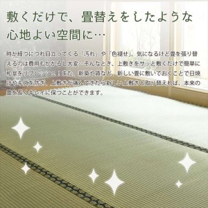 北海道・沖縄・離島配送不可】【代引不可】い草カーペット おもてなし