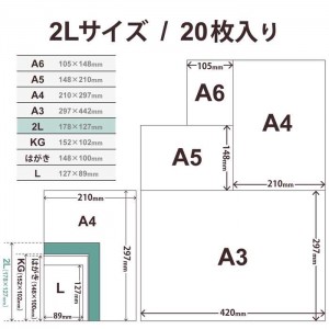 【代引不可】プリンター用紙 写真用紙 2L判 20枚 微光沢 写真用アートペーパー 印画紙 最上級グレードART紙 厚手 マイクロラスター インクジェット用紙 ホワイト エレコム EJK-ML2L20