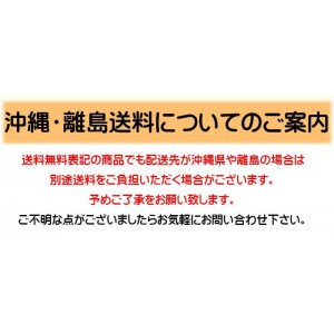 【即納】毛玉取り AC電源(電池交換なし) 交流式 100V-240V電源専用 国内/海外両用 国内・海外兼用 コンセント グレー 毛玉取り器 毛玉とり器 毛玉クリーナー 毛玉とり 電動 テスコム KD778-H